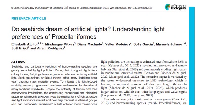 Screen shot of the first page of the PDF of the research article, Do seabirds dream of artificial lights? Understanding light
preferences of Procellariiformes, authored by Elizabeth Atchoi & co. The screen shot also shows part of the abstract, starting with the sentence, 'Seabirds, and particularly fledglings of burrow-nesting species, are greatly impacted by light pollution' and the introduction.