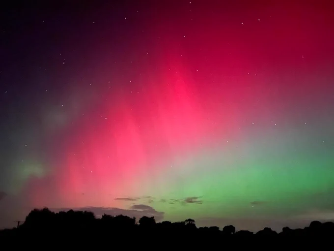 An image of the aurora across the sky in Norfolk. The aurora is above a line of trees with vivid reds and greens of the aurora.