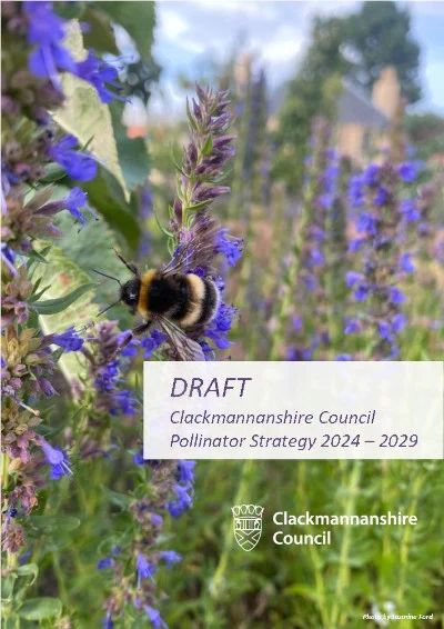 Front cover of draft Pollinator Strategy 2024-29 document