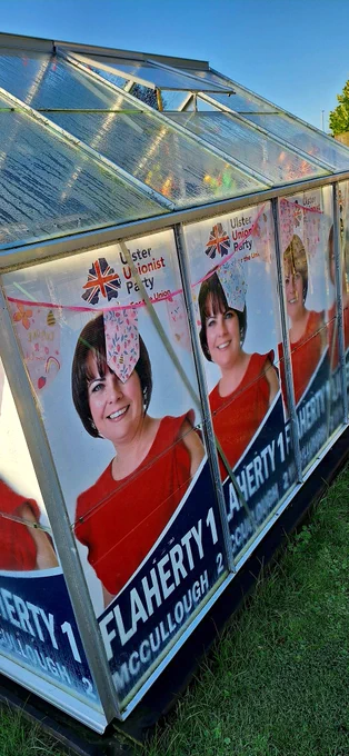 Photo of a greenhouse. 
Inside is lined with old election posters of myself from 2019! 
Dark bob hair, red dress & ulster Unionist branding & logo.
Red, white and blue colour scheme. 