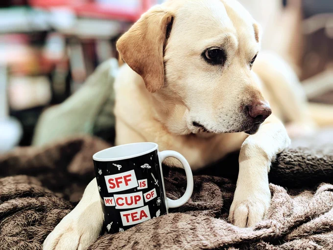 Labrador dog sat not looking at a mug reading "SFF is my cup of tea"