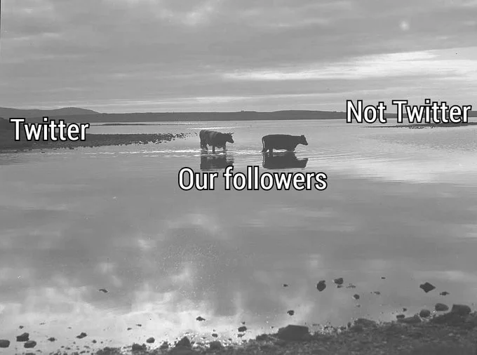 Two cows walking through water from one island to another. One island is labelled Twitter, the other is labelled Not Twitter. The cows are walking to Not Twitter. The cows are labelled Our followers.