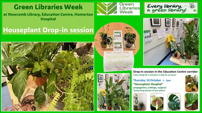 Newcomb Library Green Libraries Week houseplant drop-in session with Emma Myers - photos of the table filled with houseplants 