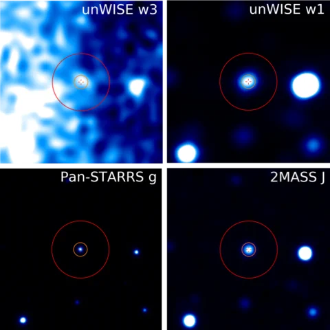A grid of four views of the same part of space, each taken by a different telescope. The images have black backgrounds with white and blue blobs. From upper left and moving clockwise, the images were made by: unWISE w3, which is the brightest image, unWISE w1, which shows only three distinct white spots and two blue, Pan-STARRS g, which shows the same spots as unWISE w1 but each is smaller, and 2MASS J, which shows the same spots of light, smaller yet. Each image has a bright spot in the center surrounded by two red circles. Disk Detective volunteers compare images of the same star at different wavelengths to help figure out if that star has a disk.