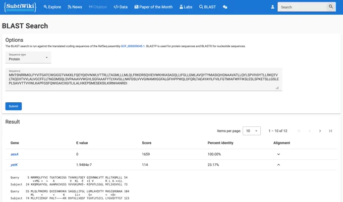 Screenshot of the new BLAST search page on SubtiWiki v5 beta. A form with the query sequence as well as a table of hits with alignments is shown.