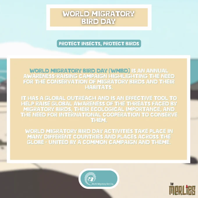 World Migratory Bird Day (WMBD) is an annual awareness-raising campaign highlighting the need for the conservation of migratory birds and their habitats.

It has a global outreach and is an effective tool to help raise global awareness of the threats faced by migratory birds, their ecological importance, and the need for international cooperation to conserve them.

World Migratory Bird Day activities take place in many different countries and places across the globe - united by a common campaign and theme.