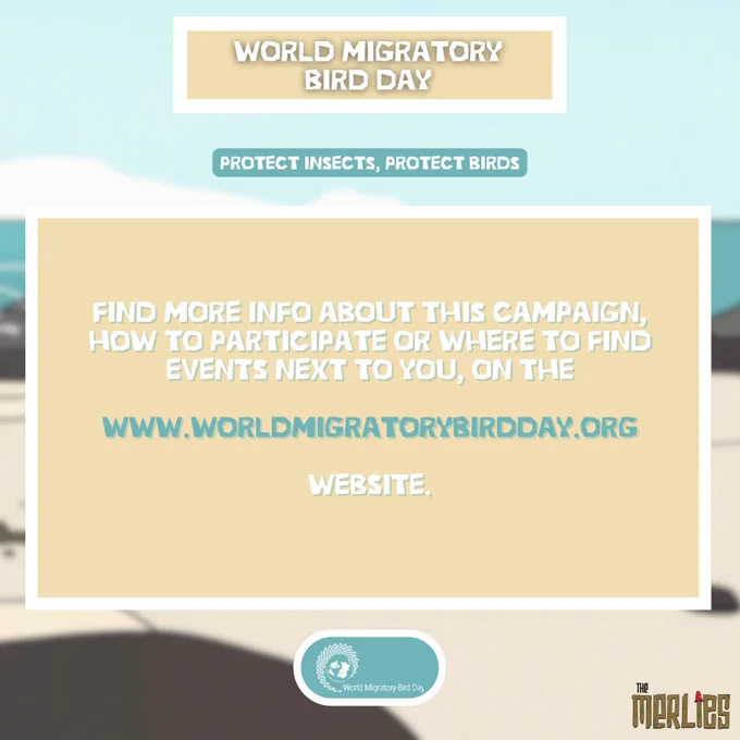 Find more info about this campaign, how to participate or where to find events next to you, on the www.worldmigratorybirdday.org website.