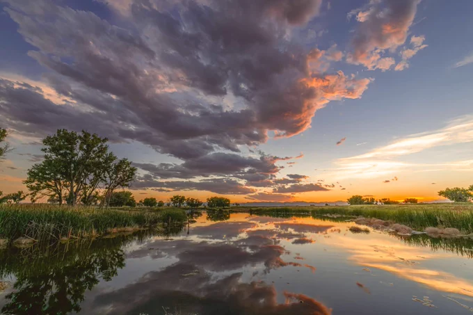 A sunset-colored sky is reflected off of a wetland below.