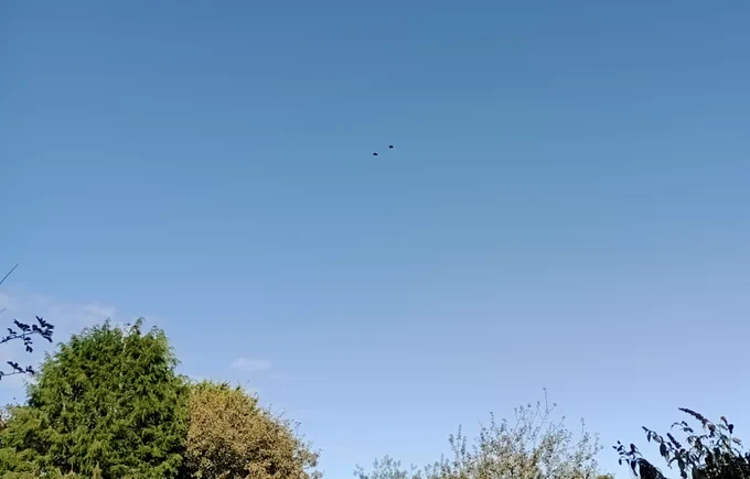 A blue sky with two tiny black dots in the middle