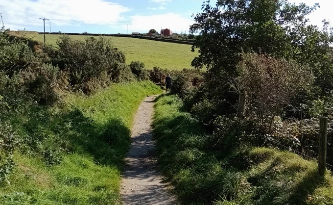 A narrow gravelly path between grassy banks and trees, curving gently off to the right