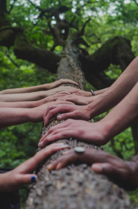 Hands of a number of people along the trunk of a tree