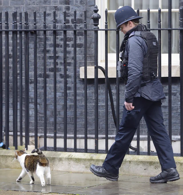 Police officer following Larry on Downing Street