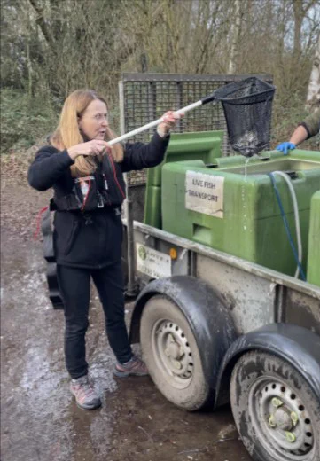 Lincs & Northants Area Environment Manager Yvonne Daly uses a fishing net to remove live fish from a green tank on the back of a trailer. She is dressed in black outdoors clothes and standing on a muddy path, with leafless trees visible in the background.