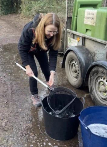 Lincs & Northants Area Environment Manager Yvonne Daly uses a fishing net to put live fish into a black bucket resting on muddy ground. She is standing next to a trailer with and dressed in black outdoors clothes and standing on a muddy path, with leafless trees visible in the background.