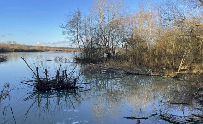 A view of a tranquil lake, with woody debris in the foreground that creates refuge areas and habitat for fish. The water reflects a clear blue sky and leafless trees line the water's edge on a sunny winter's day.