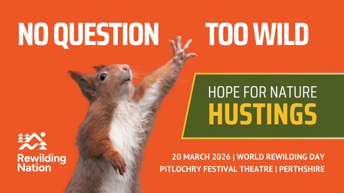 A red squirrel holds up a hand, as if asking a question. Text on an orange background reads, "No question too wild. Hope for Nature Hustings. 20 March 2026, World Rewilding Day, Pitlochry Festival Theatre." The "Rewilding Nation" logo, depicting stylized trees, a mountain and a river, is in the lower left corner.