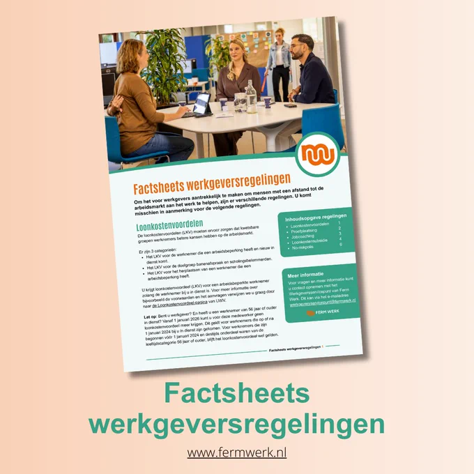 Factsheets werkgeversregelingen. www.fermwerk.nl