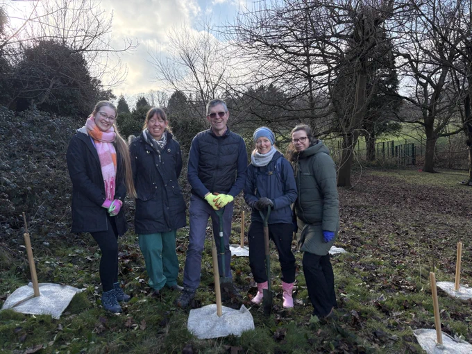 ICST team members planting trees at RLI
