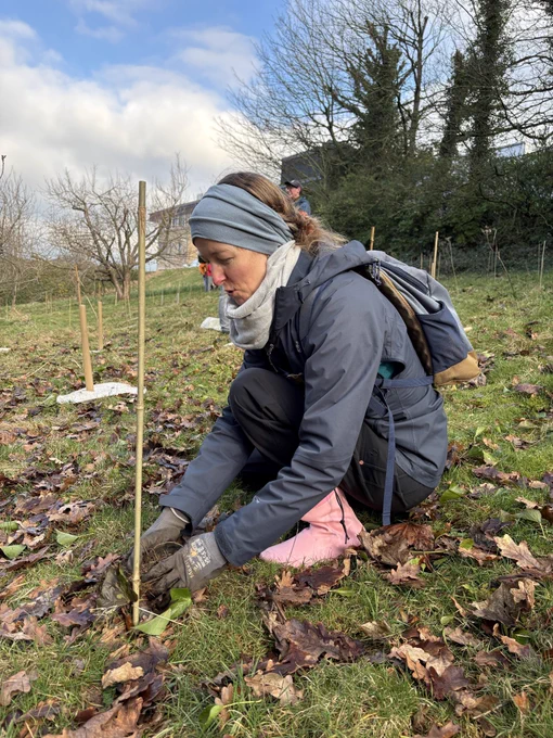 ICST team members planting trees at RLI