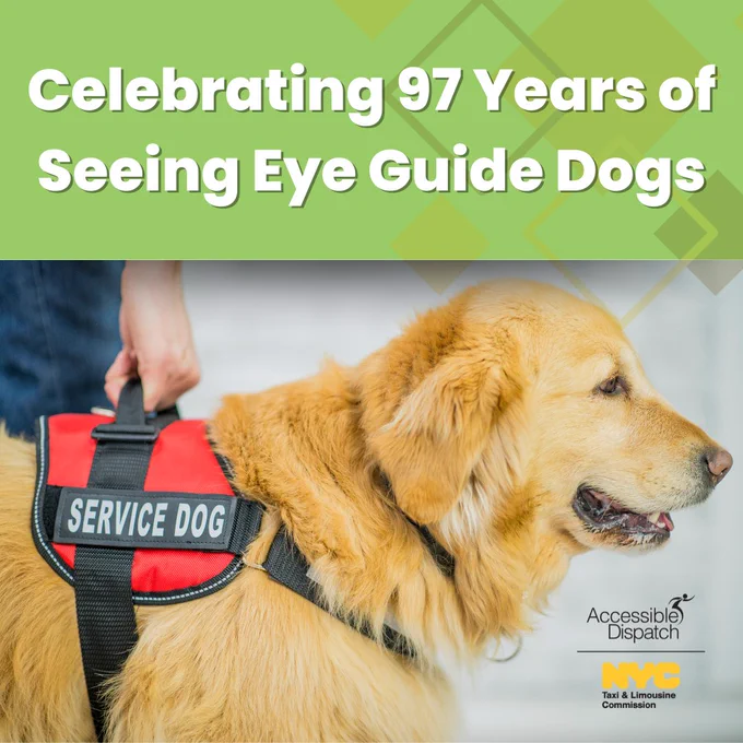 Photo of a service dog.Text that reads "Celebrating 97 Years of Seeing Eye Guide Dogs." The official New York City Taxi and Limousine Commission and Accessible Dispatch logos are in the bottom right corner. 