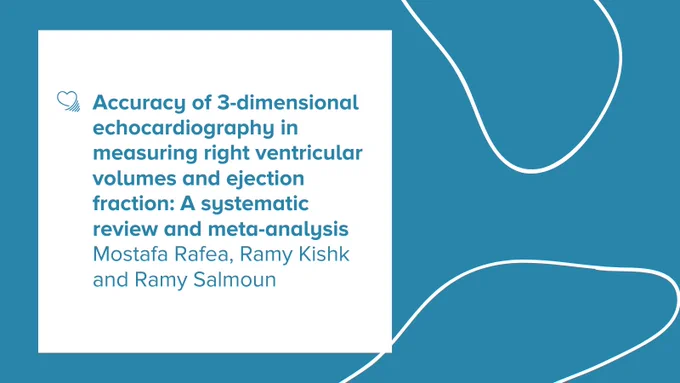 Authors: Mostafa Rafea, Ramy Kishk and Ramy Salmoun