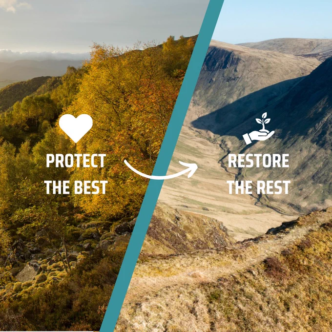A split-screen graphic that says "PROTECT THE BEST" on the left and "RESTORE THE REST” on the right. On the sunlit forest with autumn leaves is shown under a white heart icon. On the right, a rugged mountain valley is shown under a white icon of a hand holding a sprouting plant. A teal diagonal line separates the two landscapes.
