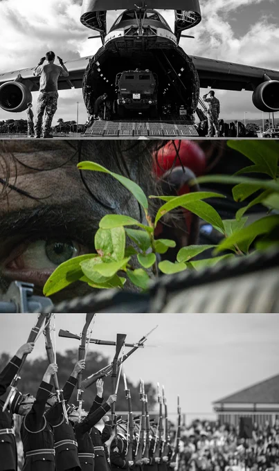 One part of a sniper photo with bonus photos above and below it