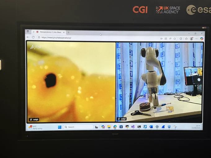 Robotic arm and denture