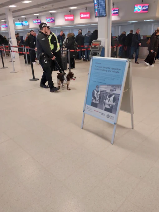 Drugs Dog in action