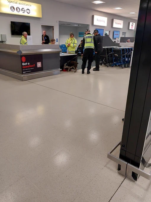 Drugs dog in action