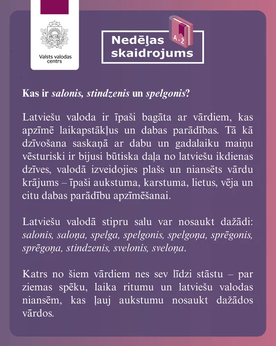 Attēlā ir redzams skaidrojums:
Kas ir salonis, stindzenis un spelgonis?
 
Latviešu valoda ir īpaši bagāta ar vārdiem, kas apzīmē laikapstākļus un dabas parādības. Tā kā dzīvošana saskaņā ar dabu un gadalaiku maiņu vēsturiski ir bijusi būtiska daļa no latviešu ikdienas dzīves, valodā izveidojies plašs un niansēts vārdu krājums – īpaši aukstuma, karstuma, lietus, vēja un citu dabas parādību apzīmēšanai.
 
Latviešu literārajā valodā stipru salu var nosaukt dažādi:  salonis, saloņa, spelga, spelgonis, spelgoņa, sprēgonis, sprēgoņa, stindzenis, svelonis, sveloņa.
 
Katrs no šiem vārdiem nes sev līdzi stāstu – par ziemas spēku, laika ritumu un latviešu valodas niansēm, kas ļauj aukstumu nosaukt vārdā daudzos veidos.