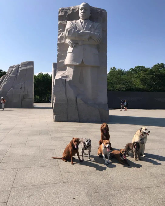 MLK Memorial