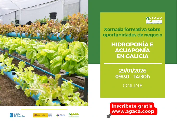 Xornada formativa sobre oportunidades de negocio en Galicia: Hidroponía e acuaponía en Galicia.
Son técnicas de produción que poden aplicarse a diversa escala. Coñéceas nunha xornada online con especialistas. O 29 de xaneiro,de 09:30  a 14:30 h. - Online - Inscrición gratuíta.
Reserva a túa praza en www.agaca.coop