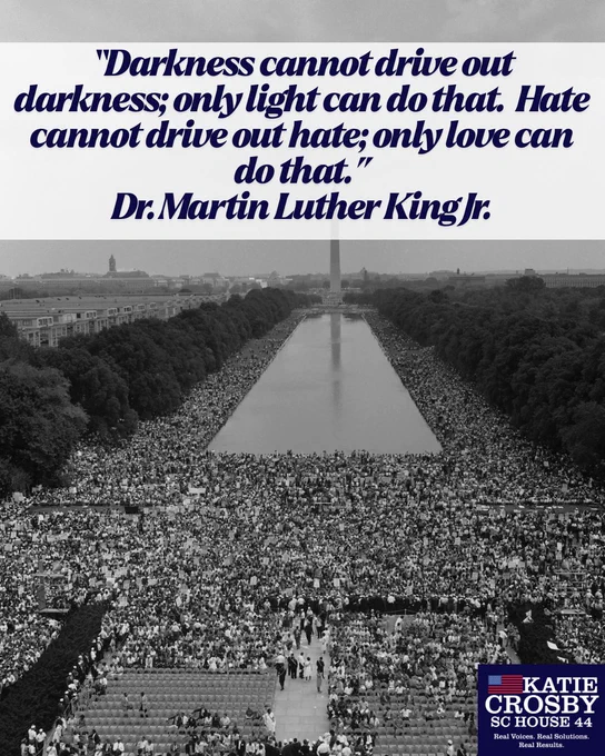 “Darkness cannot drive out darkness; only light can do that.  Hate cannot drive out hate; only love can do that.”
Dr. Martin Luther King Jr.