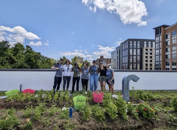 The CleanChoice Energy team volunteering at the rooftop garden at Bread for the City in Washington, DC