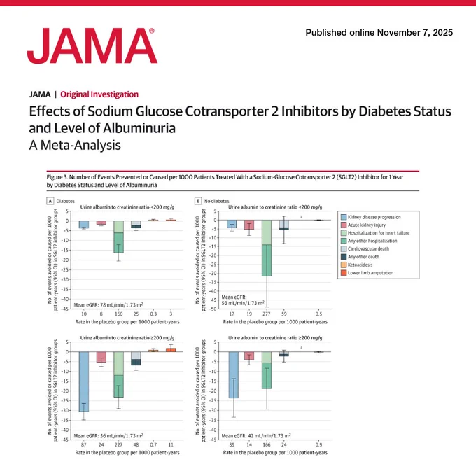 Four graphs display events prevented or caused per 1000 patients treated with a Sodium-Glucose Cotransporter 2 (SGLT2) Inhibitor for 1 Year by Diabetes Status and Level of Albuminuria. The graphs show variance for diabetes vs. no diabetes.
