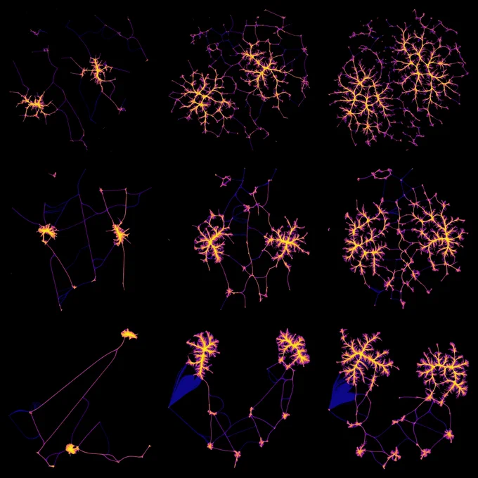 3 by 3 grid of networks color-mapped with "plasma" and with edge-bundling. Lung looking structure.
