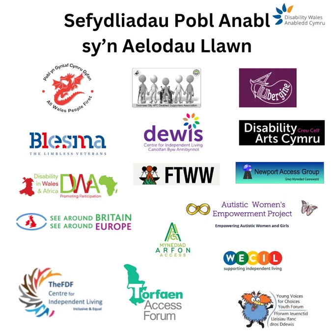 Graffeg gyda'r teitl Sefydliadau Pobl Anabl sy'n Aelodau Llawn, gyda logos y rhai sy'n aelodau o Anabledd Cymru. Y sefydliadau hynny yw: Pobl yn Gyntaf Cymru Gyfan, Mynediad Arfon, Caffi a Digwyddiadau Aubergine, Blesma - the Limbless Veterans, Dewis Canolfan Byw Annibynol, Celfyddydau Anabledd Cymru, Disability in Wales & Africa, Triniaeth Deg i Fenywod Cymru, Grŵp Mynediad Casnewyddd, See Around Britain, Cymdeithas Cefnogwyr yr Elyrch, The Autistic Women's Empowerment Project, The FDF Centre for Independent Living, Fforwm Mynediad Torfaen, West of England Centre for Inclusive Living, a Lleisiau Ifanc dros Ddewis.