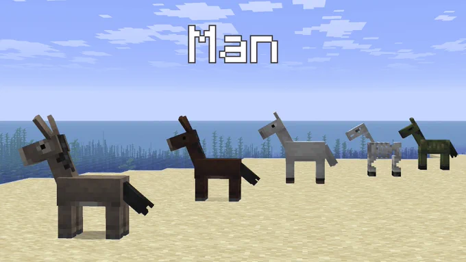 Wide image of a group of baby animals (donkey, mule, horse, skeleton horse, zombie horse) standing on a beach in a line, looking out at the distant blue horizon. Copy on top of the screen reads "Man"