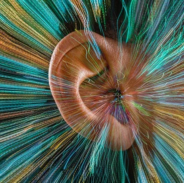 Image credit: John Lund