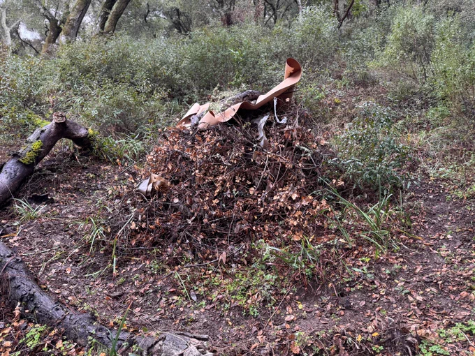 pile of vegetation