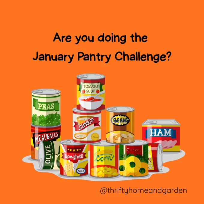 Are you doing the January Challenge?@thriftyhomeandgarden
