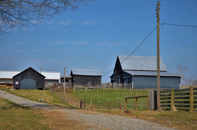 Rural landscape with several barns scattered across a grassy field under a bright blue sky. A dirt road leads toward the barns, with wooden fences lining the path. A telephone pole stands tall on the right.