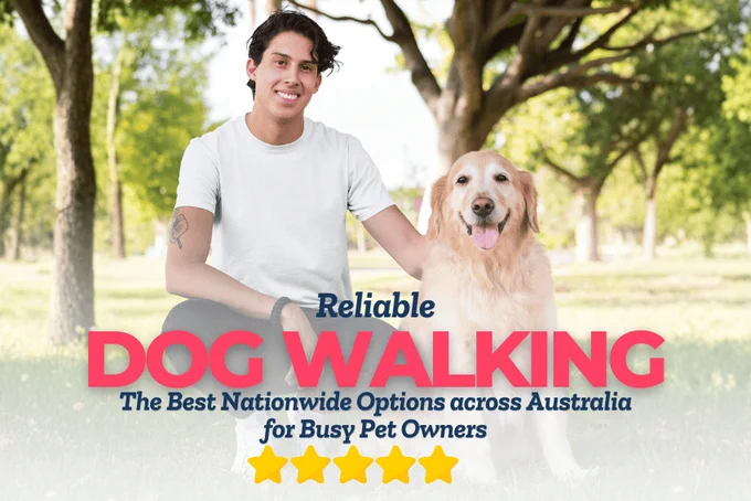 reliable dog walking services australia petcloud