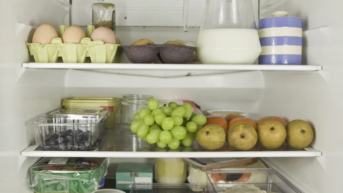 Refrigerator shelves stocked with eggs, milk, blueberries, green grapes, and several apples.