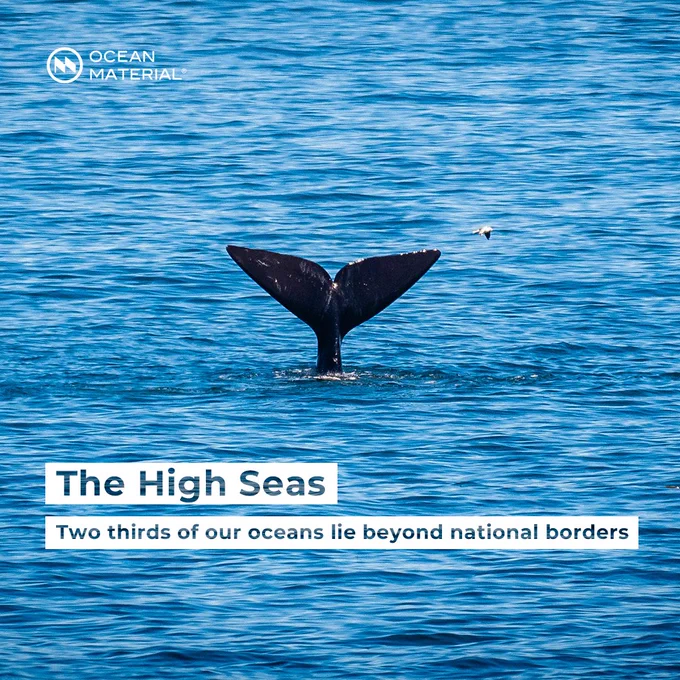 Whale tail rising from the open ocean, symbolizing the vast High Seas beyond national borders.