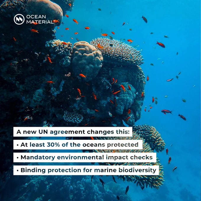 Vibrant coral reef with colorful fish, representing marine biodiversity that the UN agreement aims to protect