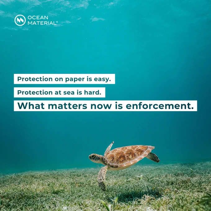 Sea turtle swimming over seagrass in clear blue water, symbolizing fragile ocean life and the need for real enforcement.