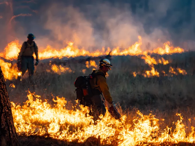 Two firefighters in protective gear managing a prescribed fire in a smoky field at dusk.