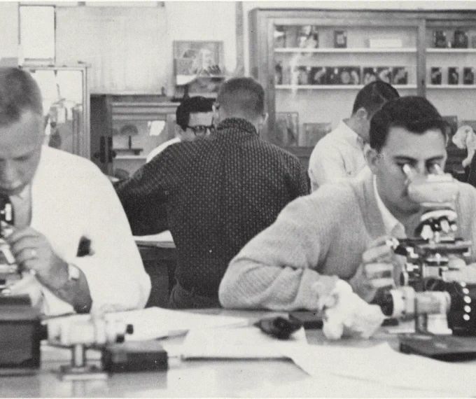 Several individuals examining specimens under microscopes in a laboratory setting, engaged in scientific research or analysis.